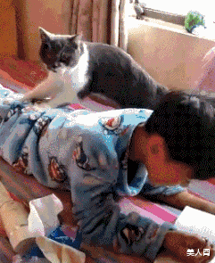 美人阁 确认过眼神,不找有留海的人哈哈哈