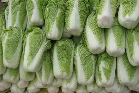 保存白菜很简单,牢记“4前提5步骤”放一冬不烂帮,不黑心!