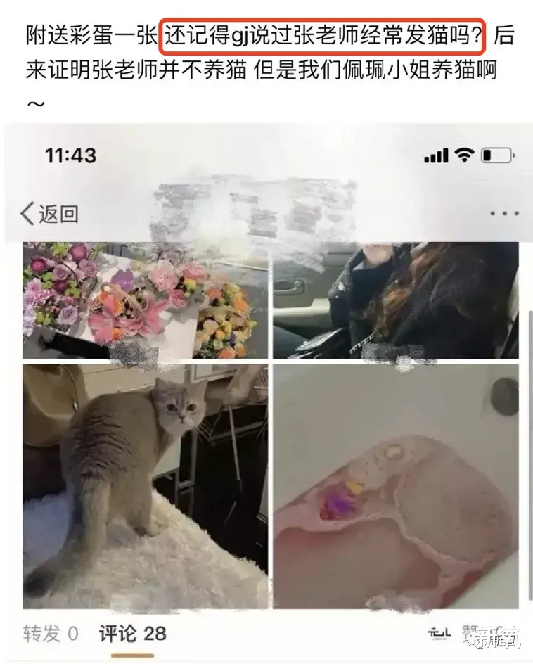 张哲瀚|刚成顶流就被爆女友，脱粉回踩疯狂爆料，但女友也太好看了吧！