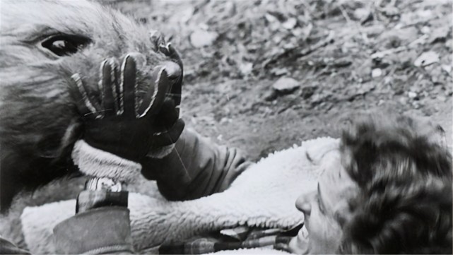  变异巨鼠团灭科学团队，仅1人生还，切尔诺贝利巨鼠真的存在吗？