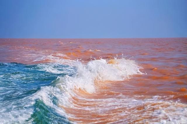 淡水鱼无法在海里存活,那么河水入海后,鱼怎么办?