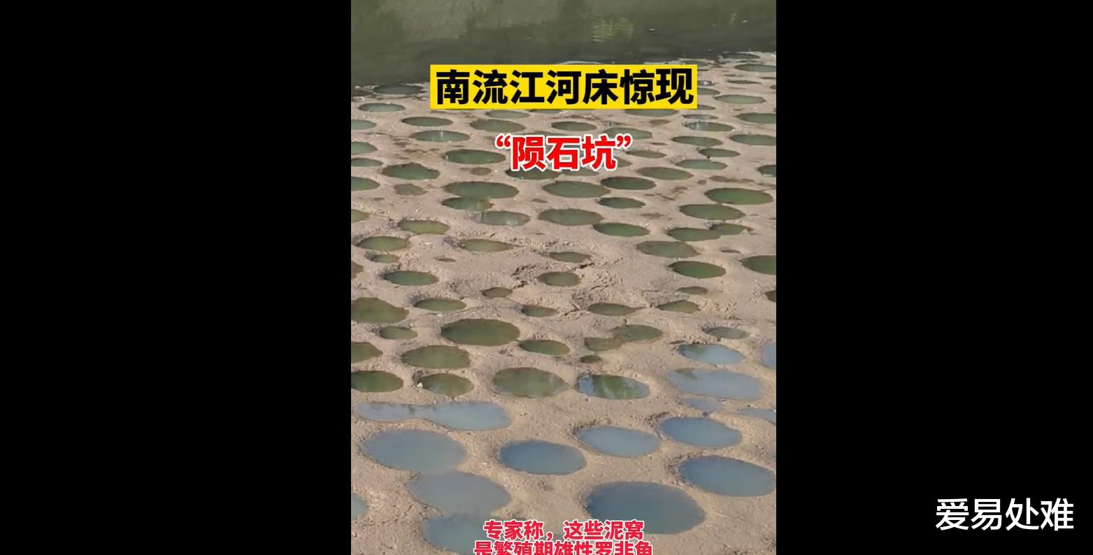 哈勃望远镜|南流江河床上发现“圆形”坑洞，是天外来客？还是入侵物种