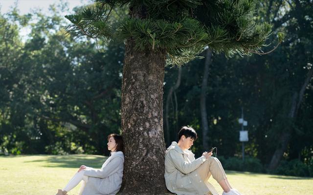 盛淮南|《暗恋橘生淮南》“完美男神”盛淮南，其实他没有想象中的好