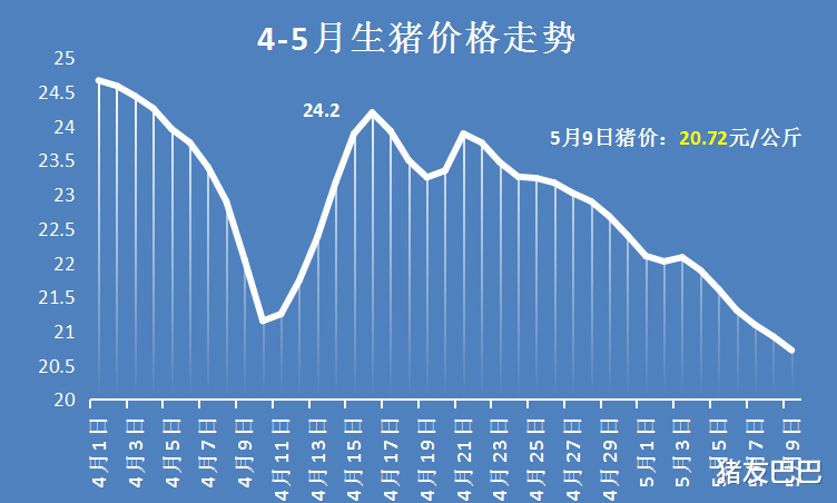 生猪价格 5月9日猪价：下跌加剧！西南猪价跌破10元，华东跌成“重灾区”！