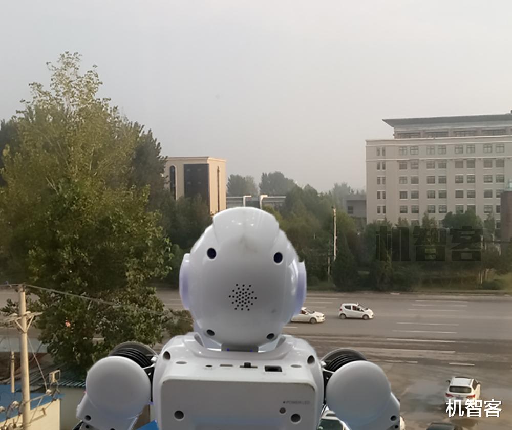机器人|很多时候,人和人工智能最大的区别是常识