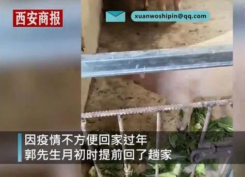 生活报 太意外！男子离家时爸妈将重礼塞后备箱：300斤，活的