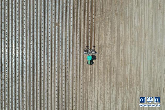 中工网 “中国标准”推动“新疆棉”高质量发展