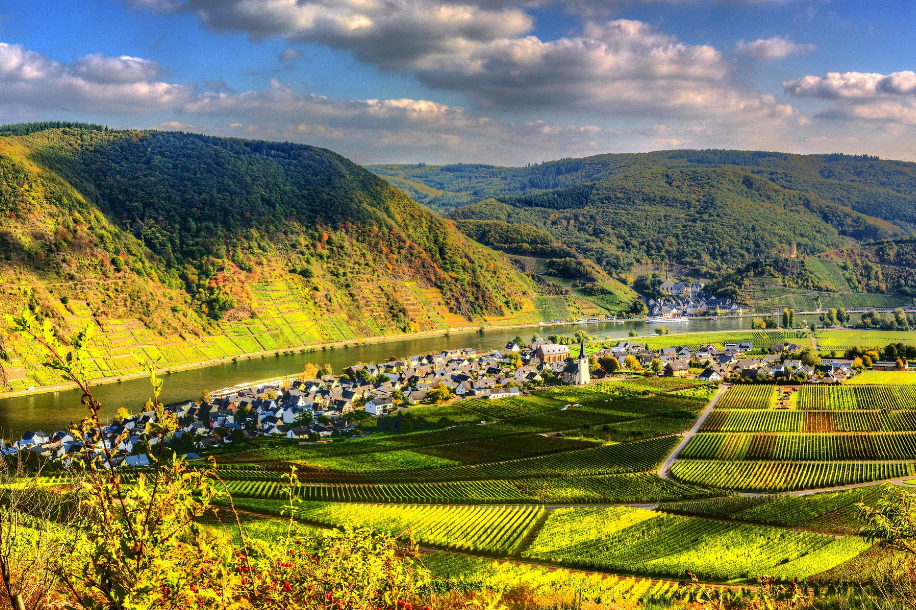 星座叶大仙 往事不回头，余生也不将就的星座，洞若观火，睿智明理，锋芒毕露