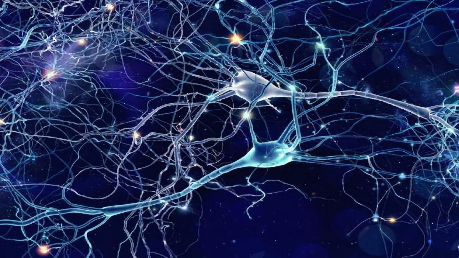 初级运动皮层中所有细胞类型的图谱，是首个全面脑细胞图谱