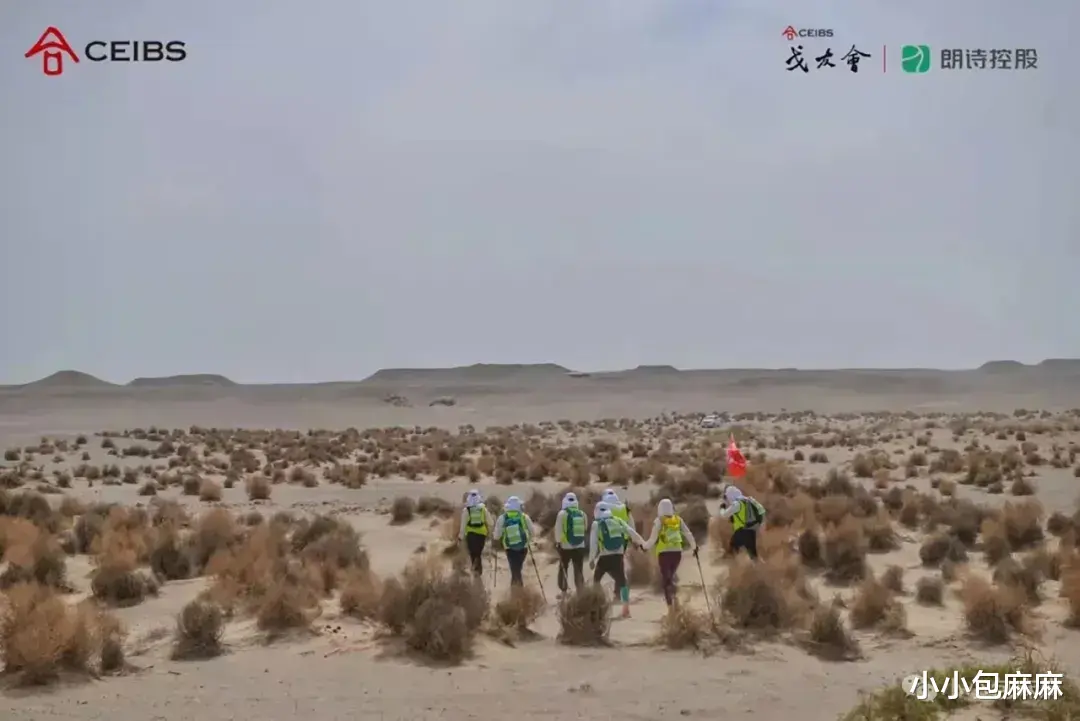 失眠|每当我失眠抑郁，就会被这些瞬间治愈