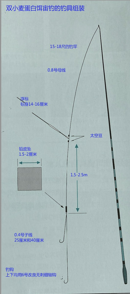 饵料|[ 日本鲫鱼钓 ] 秋天宙钓之双小麦蛋白饵宙钓第一篇钓法介绍