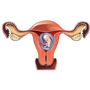 郑州中原科大医院|子宫腺肌症大概多少钱？