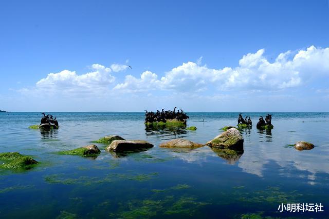 青海湖|16年增加100个西湖的水量，青海湖又变大了！会再次注入黄河吗？