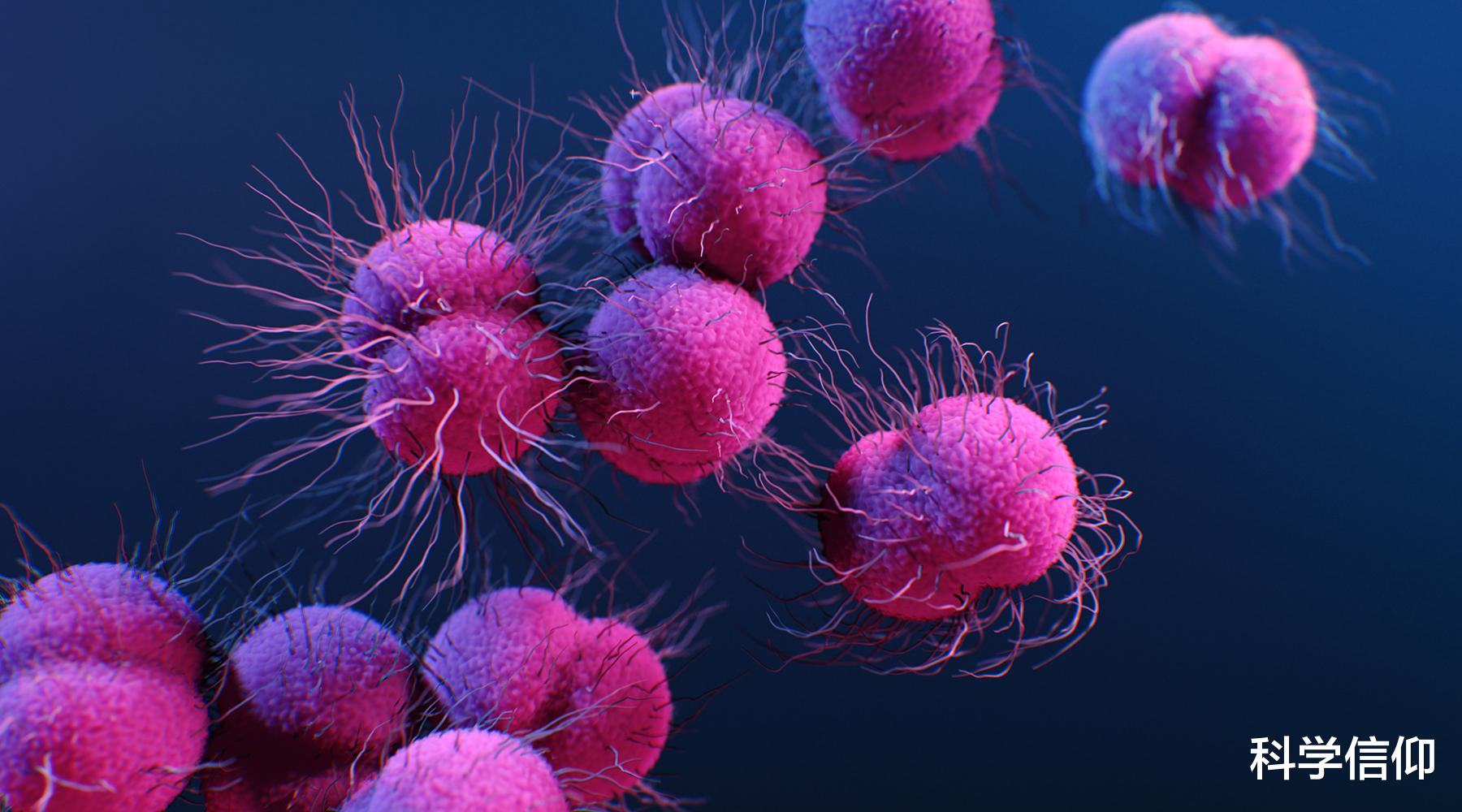 昆虫 琥珀内的昆虫千万年不腐，若将人类遗体置于琥珀中，也能不腐吗？