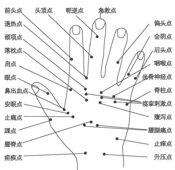 健康缘来很简单|人体全息图，哪里不适按哪里（留着备用）
