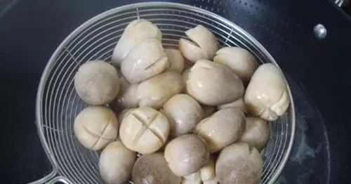 医养库 “排名第一”的便宜好东西要多吃, 提高免疫力! 秋冬季节正合适!