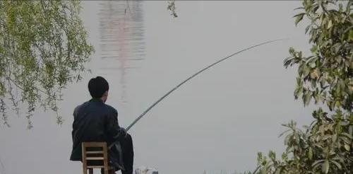 广西|虚惊一场!广西男子深山野钓遇“怪鱼”,疑似保护动物求网友鉴定