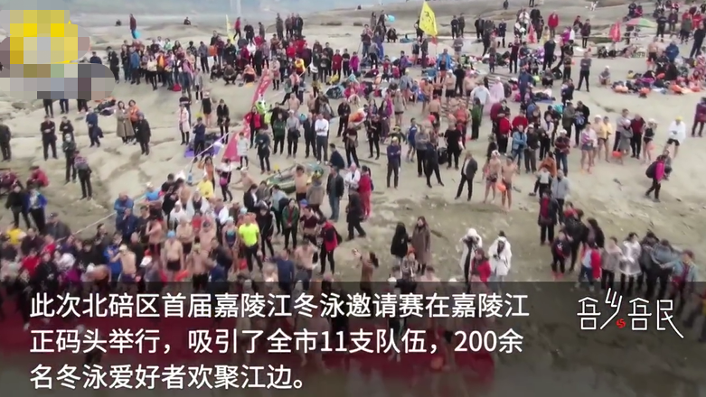 明日社会 “泳”气十足！百人冬泳过新年，嘉陵江里抢抓鸭子