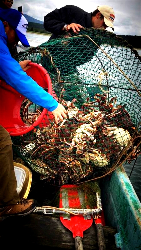 |2万元环游世界系列：这地方是吃货胜地，钓者天堂，关键去还方便