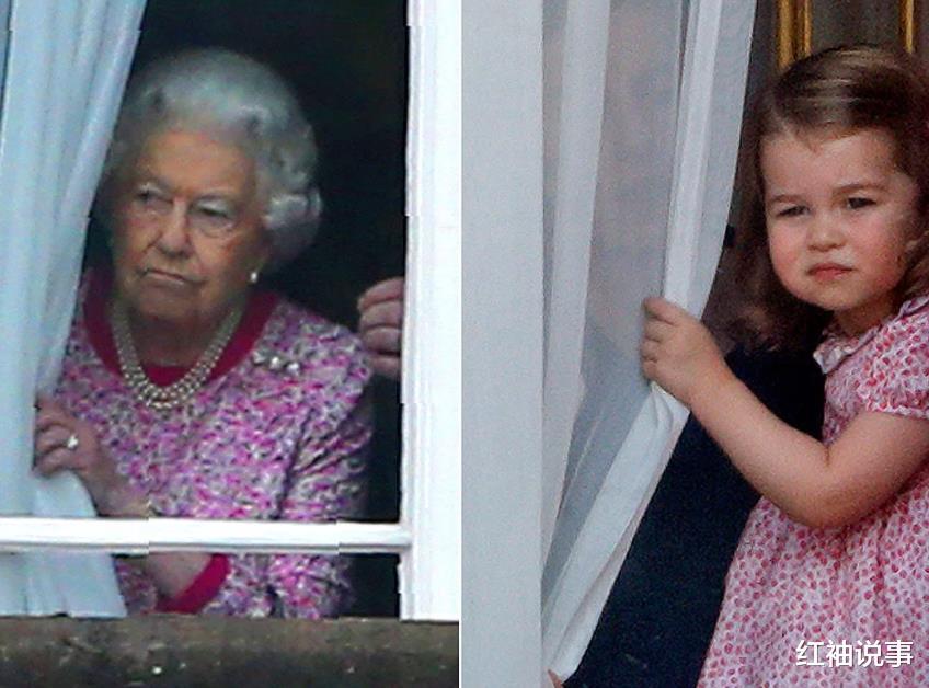 夏洛特公主|?凯特晒圣诞大合照，7岁夏洛特公主越来越美，简直是缩小版女王