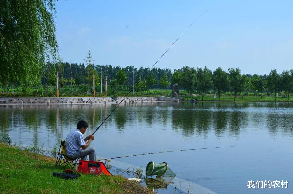 |夏季钓鲫鱼你一定要知道这个技巧，超级实用，狂拉爆护，停不下来