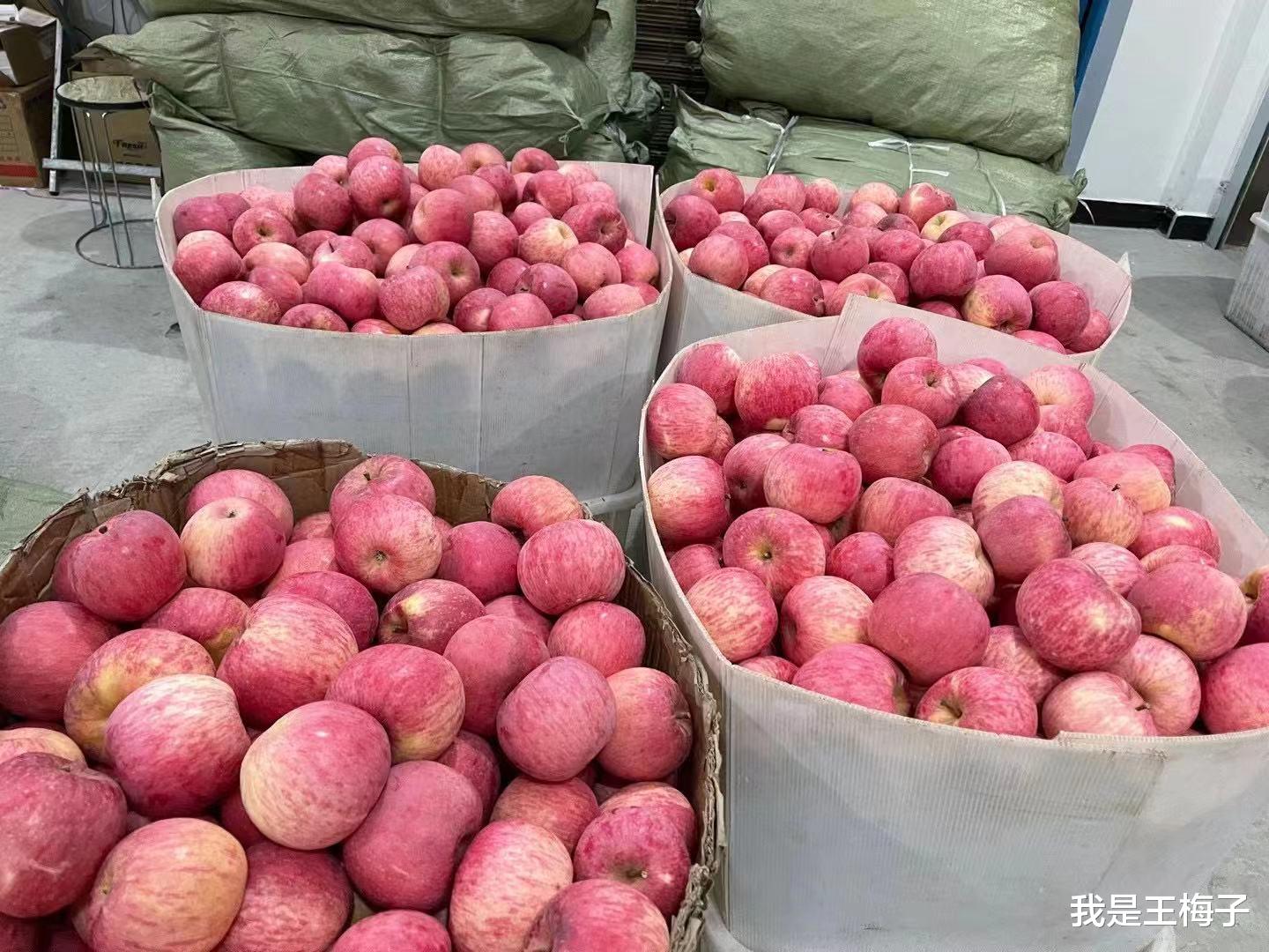 苹果|天冷了，碰到这种水果别手软，买30斤囤起来，能放到过春节