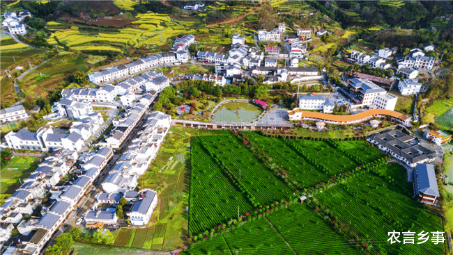房价|农村要建房的人有“喜讯”了，新政策落地，住房建设迎来2个利好