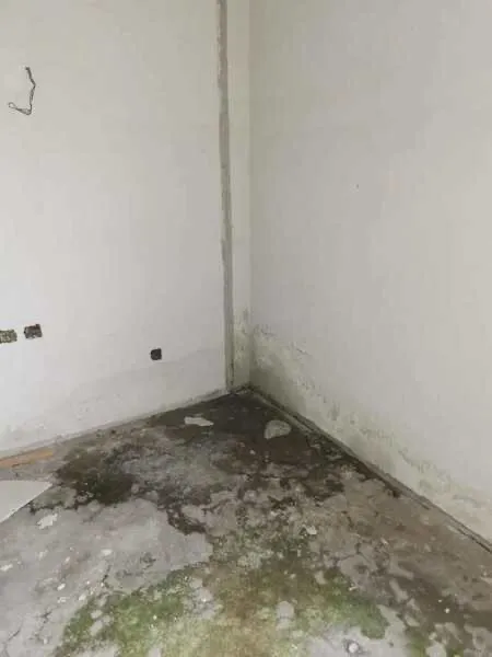 福建省|福建一套398平别墅以高出评估价16万成交