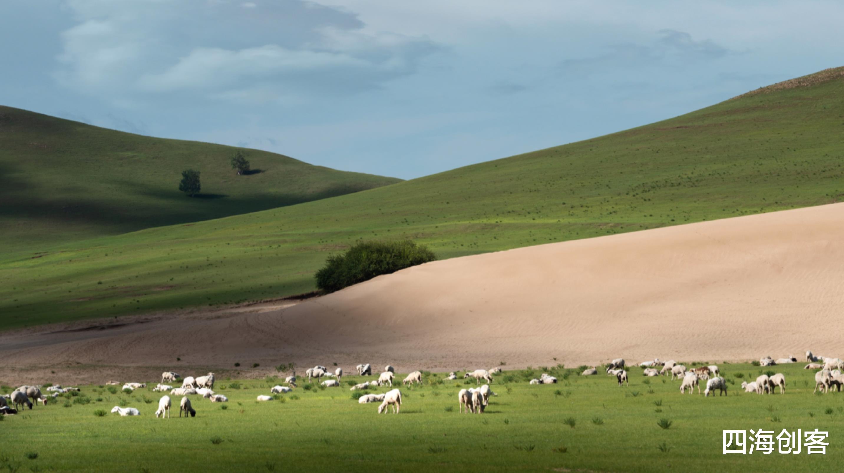 西藏 毛乌素沙漠，中国第一个即将消失的沙漠，茫茫黄沙如今已遍地翠绿