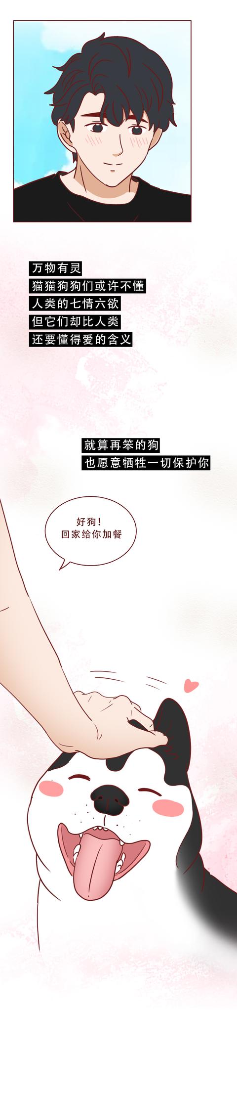 女孩|一只捡来的猫，给了抑郁症女孩第2次生命，有时兽性比人性强