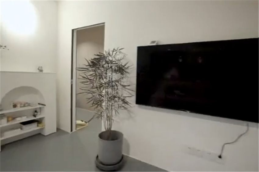 姑娘晒出极简小家：58㎡一室一厅，一人一猫居住倍感舒适