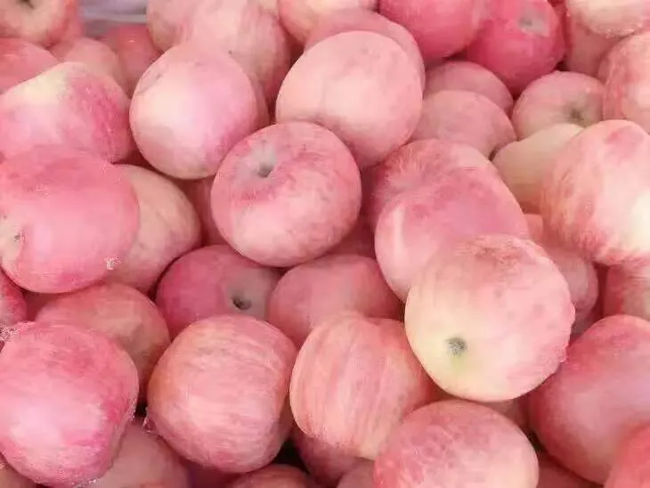 医养库 十大健康食品已公布，大蒜只排第九位，第一名家家都有