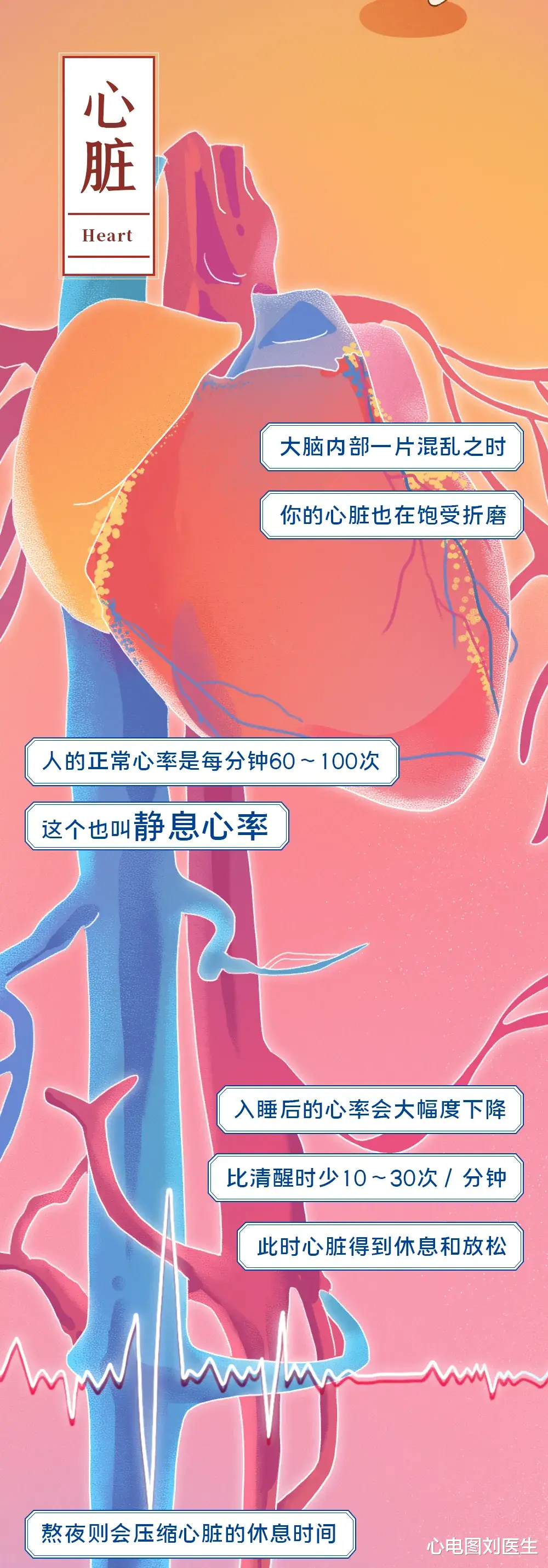 心电图刘医生|长期熬夜相当于慢性自杀，不信？向你展示身体被“掏空”的过程！