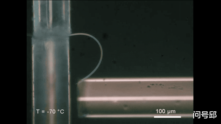 科学家 我国科学家们创造出了超级柔韧的冰，冰丝还能打造成光纤