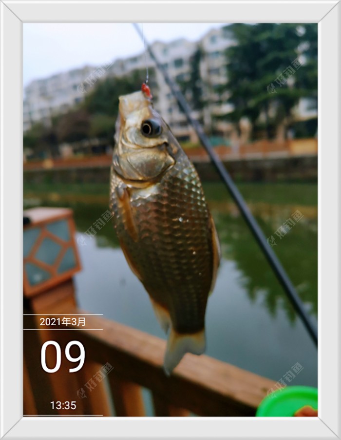 沙滩|早春同一窝点 不宜多次作钓