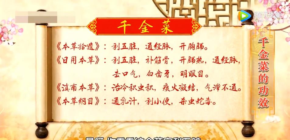百艾堂|“千金菜”护心脏、控血糖、美容颜,偏偏很多人把精华都扔了!