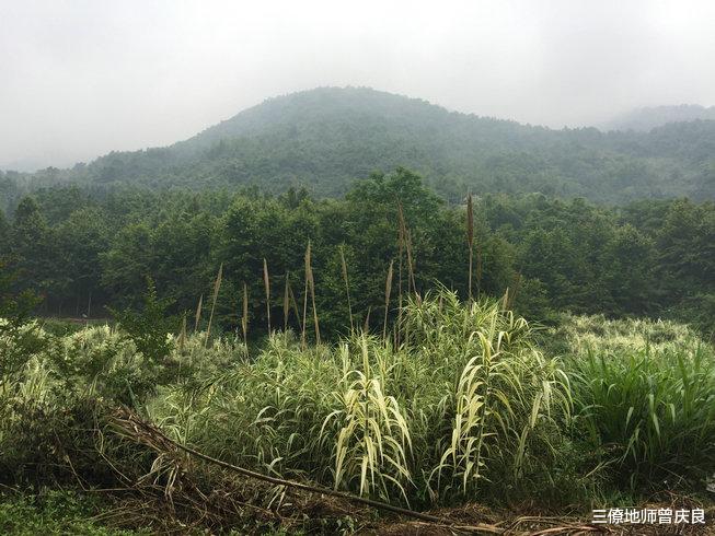 金星|论金星开窝结穴，怎么判断是否开窝？