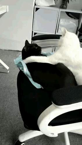 萌萌萌说|给你500万，但你在一年之内必须完成下面一个任务，你会怎么选？