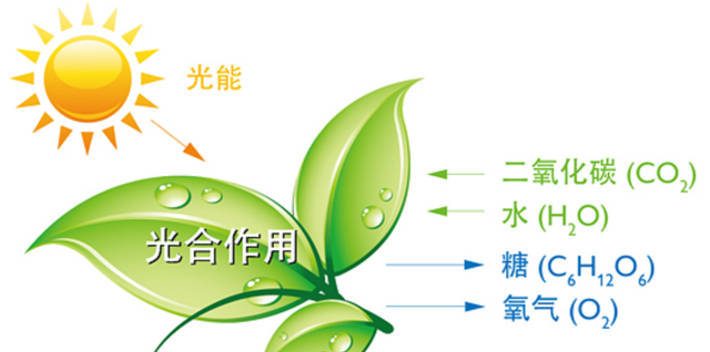 大多数雄性动物为啥交配和排尿共用一个器官,这样有何好处?