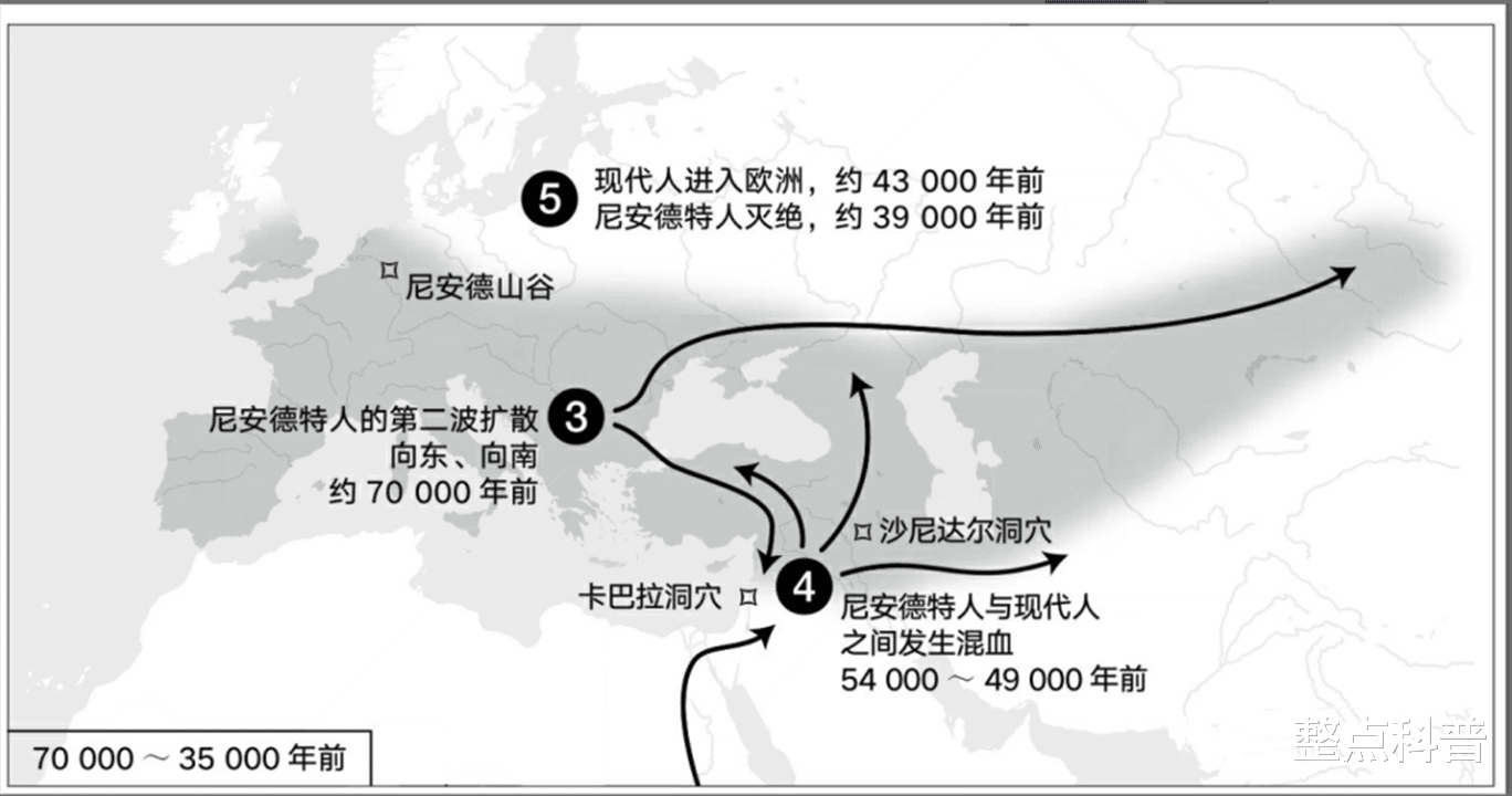 整点科普|黄种人、黑种人和白种人，为什么能自由交配，没有生殖隔离吗？