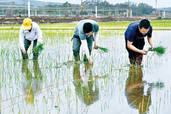 哑铃妈妈|孩子“厌学”咋办？哈佛女校长：带孩子常去这些地方，比说教管用