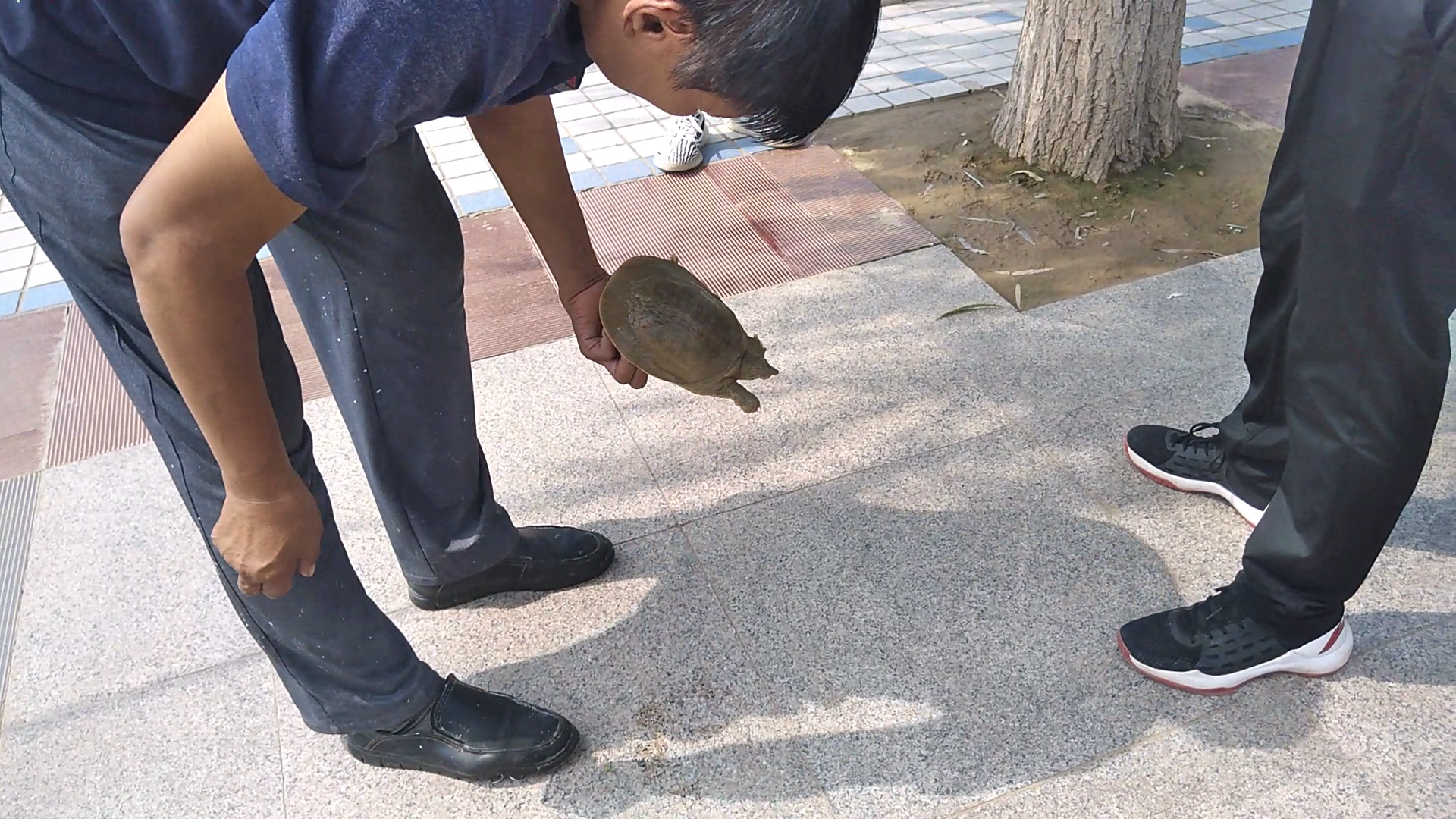 |在帝湖钓鱼，钓到一只野生甲鱼