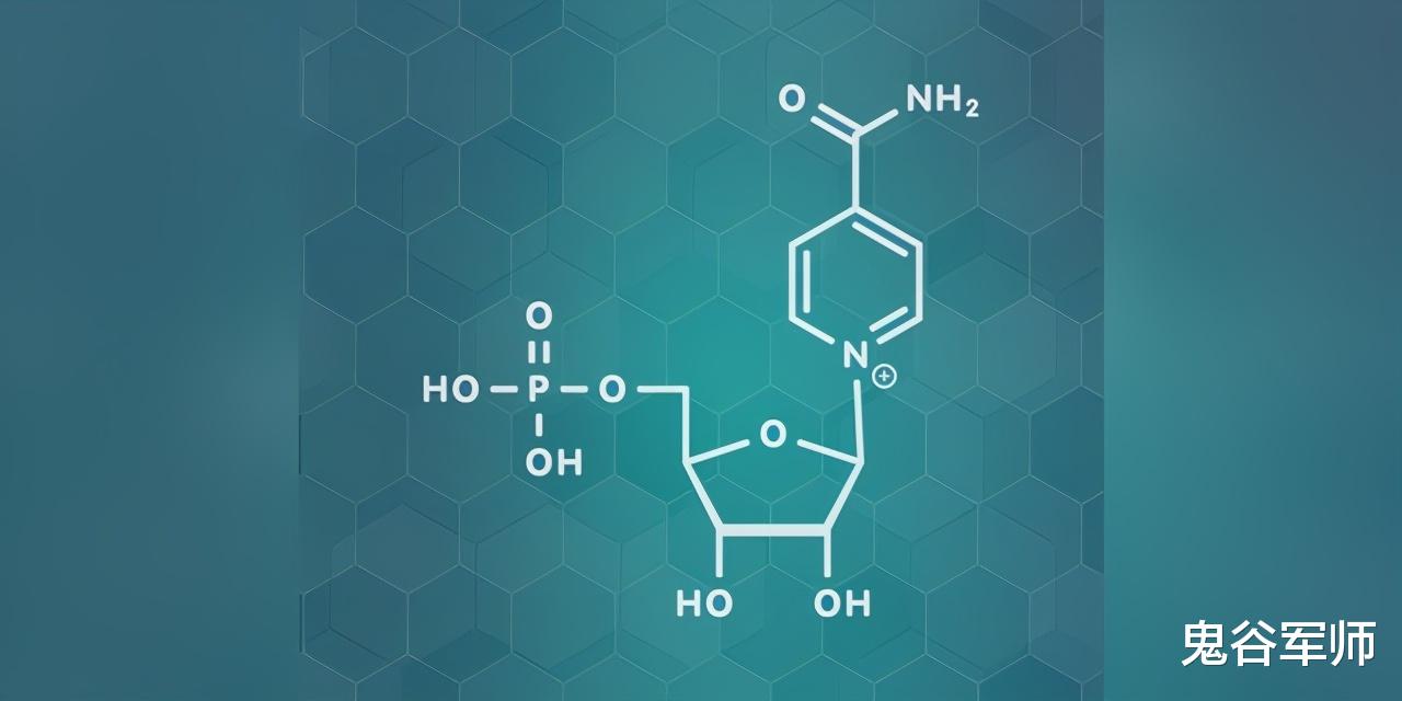 原料药|盘点A股6大NMN抗衰老药龙头公司，预计未来具有千亿市场规模潜力