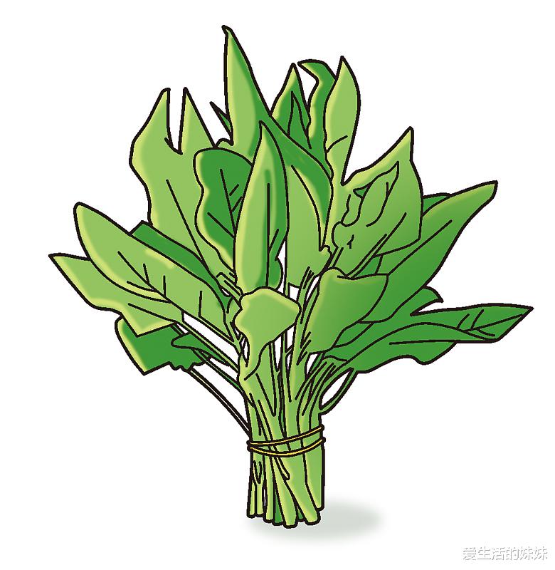 爱生活的妹妹|13种有助于降低高血压的食物