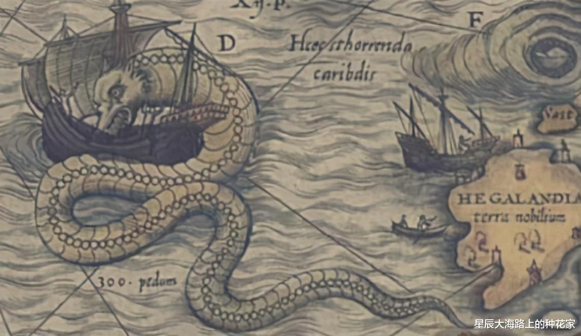 传说中的大海蛇，已有几千年目击记录，为什么没留下任何证据？