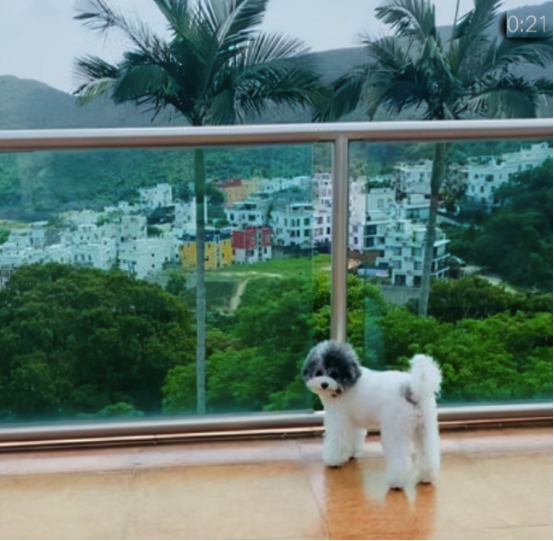 黄智贤|54岁黄智贤从商成富豪，投资副业赚的盆满钵满，如今住上山顶豪宅