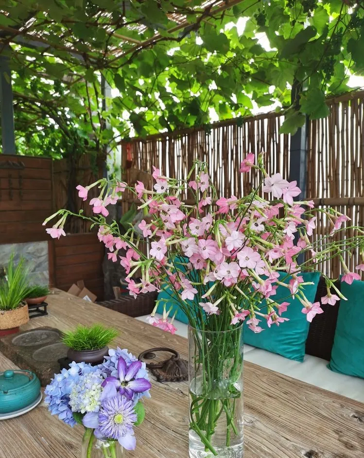 因为这个50㎡露台，买了这套房子，历时7年DIY打造成花园，太美了