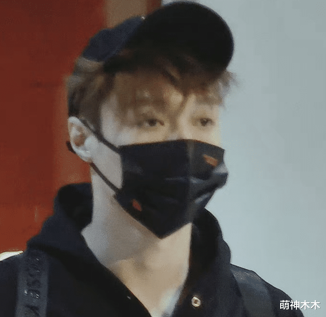 王鸥|央视跨年晚会聚齐三代流量，有选秀明星有归国爱豆，机场图曝光