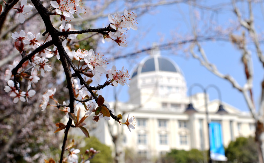 为歌而赞|走！带你去松江大学城看“校花”！