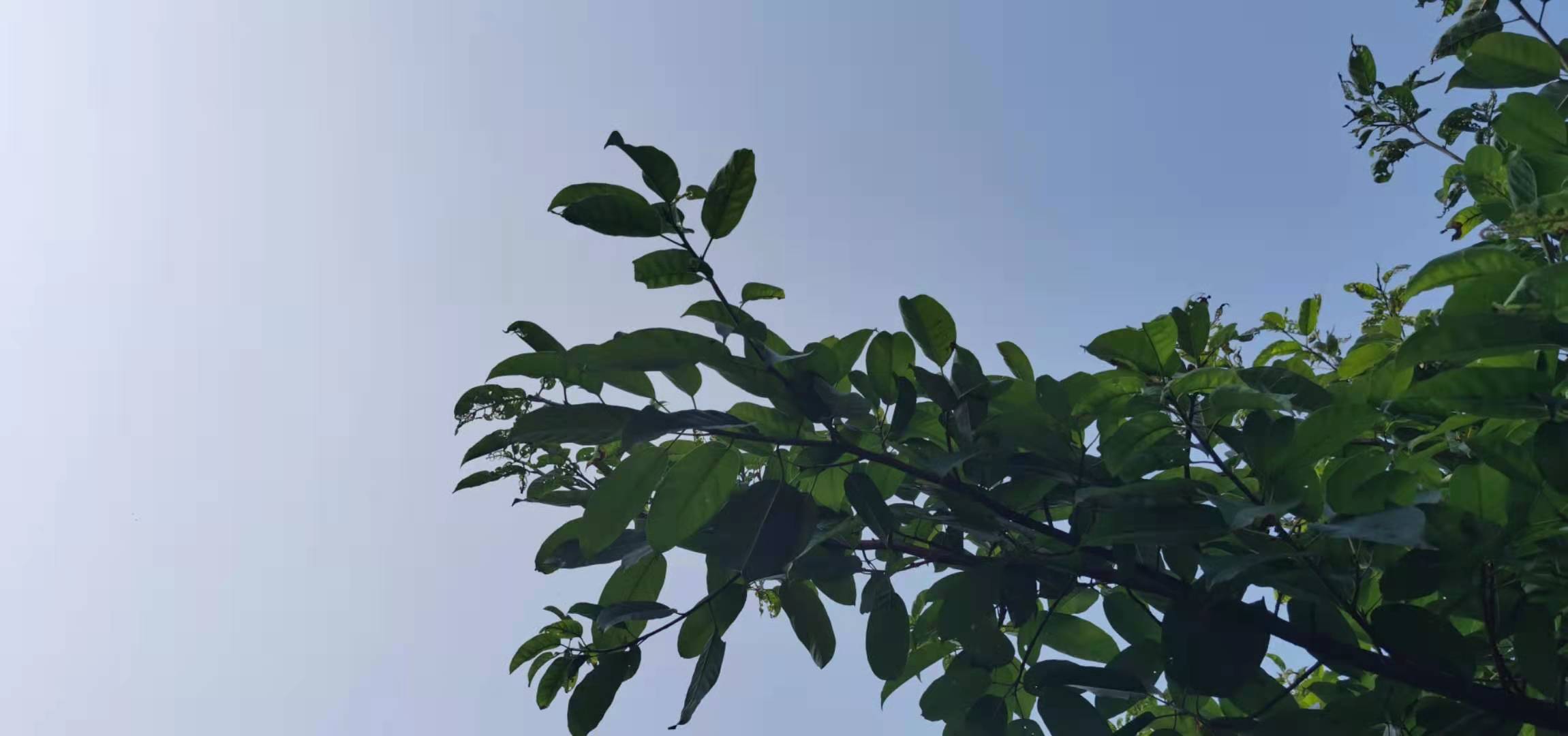 瑜峰|为什么说”不抱怨、不啰嗦”是婚姻经营的一剂良药?